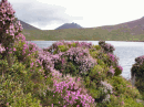 Lough Shannagh